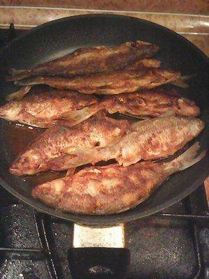 56d1db5d862eb_27.02.2016033.thumb.jpg.0b