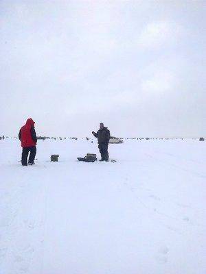 56d1f958a7999_2892.thumb.jpg.bdd93081123