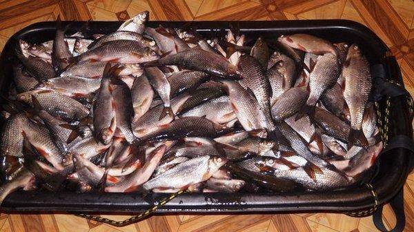 5OYtpJo-1Sw.thumb.jpg.7045b14bbd2f17357c