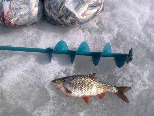 9.thumb.jpg.ce0d8f686483d111355a388ef081