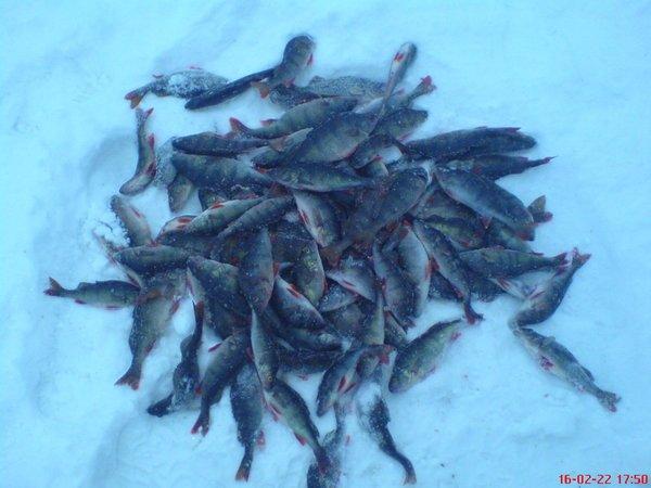 DSC06310.thumb.JPG.94eb98b13cd668f7ae077