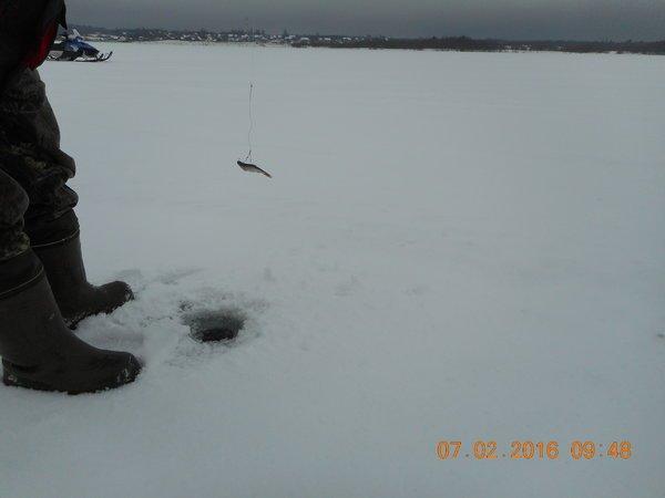 DSCN0072.thumb.JPG.c5122a6eadebdecfb3241