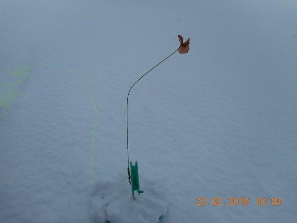 DSCN0095.thumb.JPG.dc831d6c6aaacce46dd3c