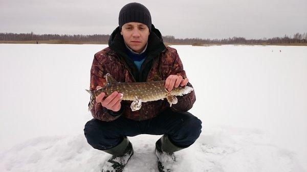 DSC_0011.thumb.JPG.db51e2841785840041176