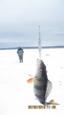 IMG_6455.thumb.JPG.8e9b2db59d87d8e23c3bc