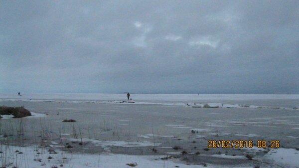 IMG_6487.thumb.JPG.1a733ed74634083d3cfac