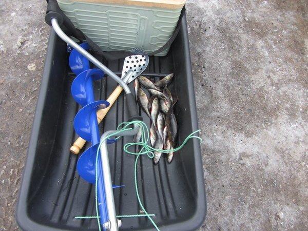 IMG_6591.thumb.JPG.89ff72a59393c1e0a94b8