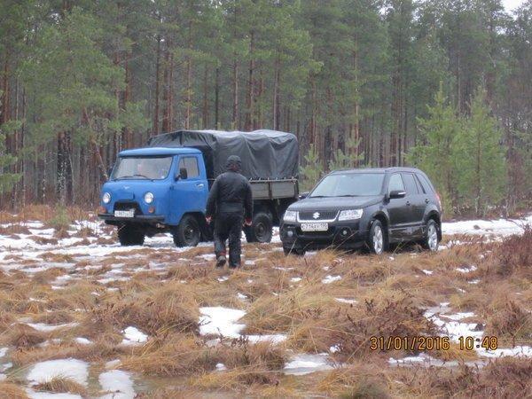 IMG_8015.thumb.JPG.df426b85fbc34a4ca768a