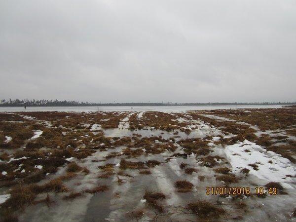 IMG_8018.thumb.JPG.31076c65444c8a7c0750b