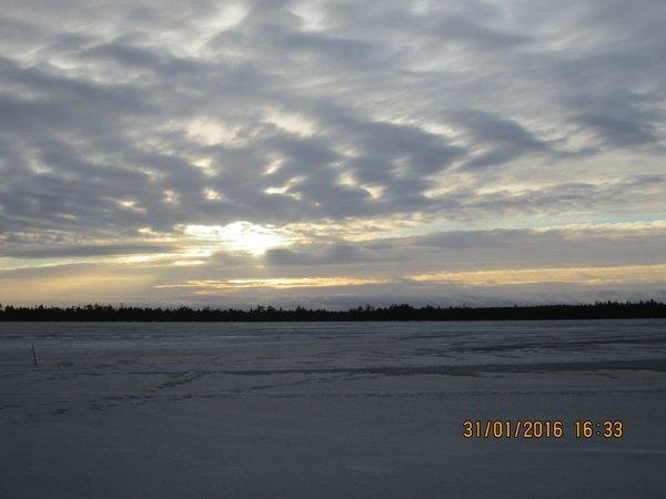 IMG_8032.thumb.JPG.88cea25df08661dee8c73