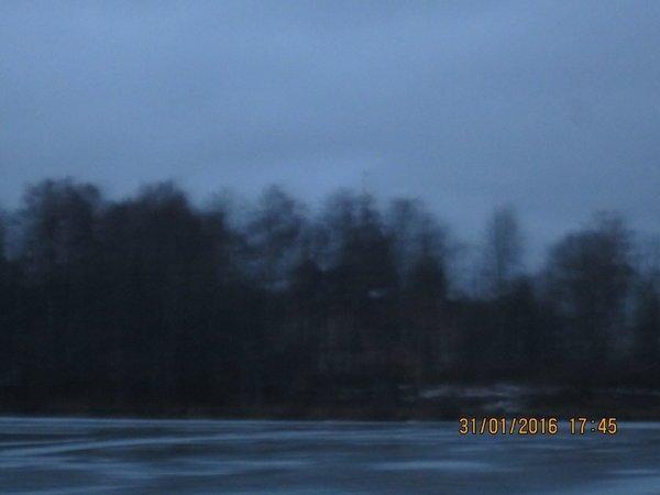 IMG_8037.thumb.JPG.a6b2dcef31d5a8f1f9898