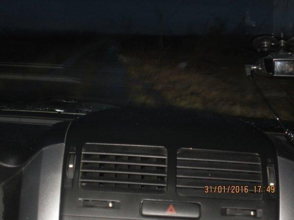 IMG_8042.thumb.JPG.07275e3de62d29f63c895