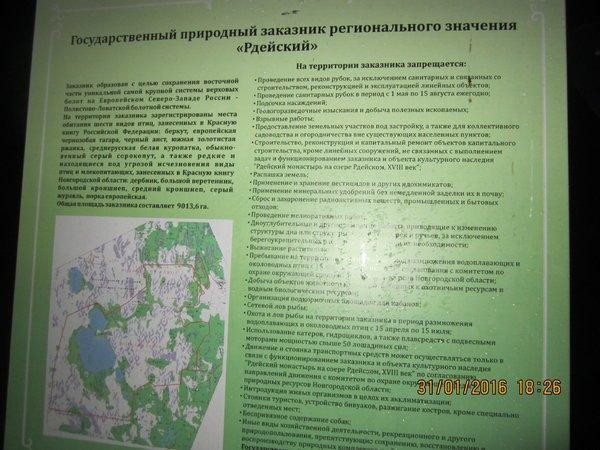 IMG_8046.thumb.JPG.6339c70a74a94334f38d8