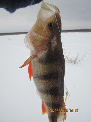 IMG_8067.thumb.JPG.73fc86779b2ea53b52cc8