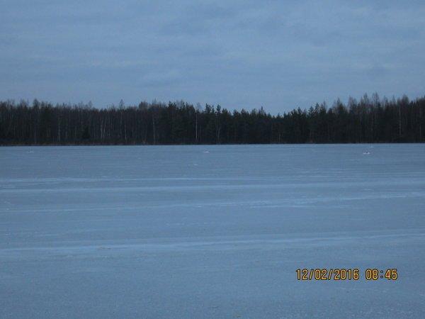 IMG_8075.thumb.JPG.6f6e31ca03f59644e0a25