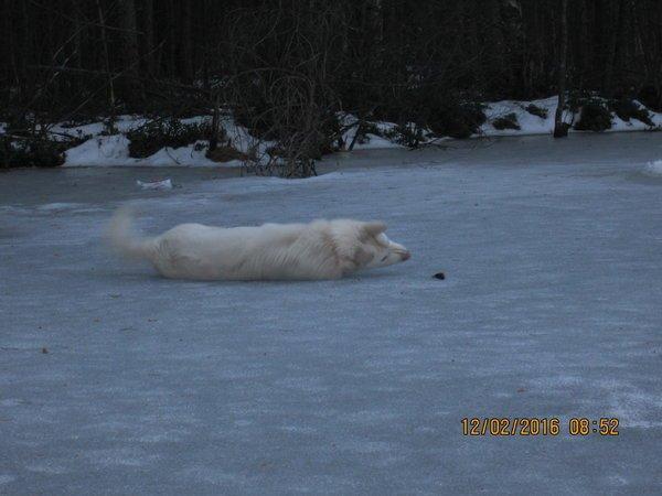 IMG_8077.thumb.JPG.2cc6e7865b0545f57f3e2