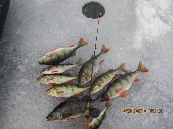 IMG_8108.thumb.JPG.6cf87725264018f2c6d37