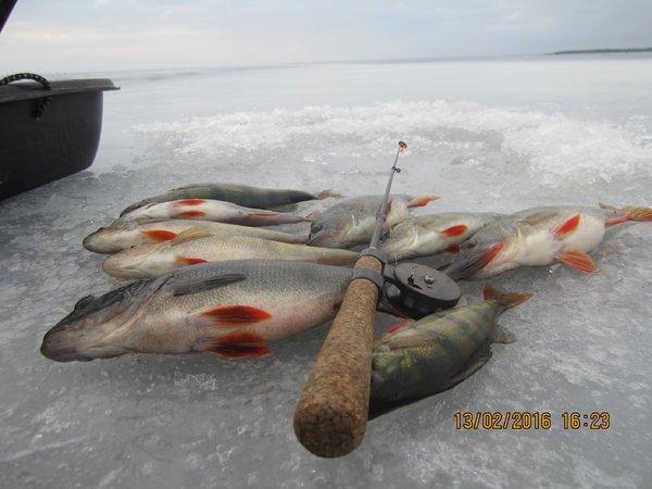 IMG_8110.thumb.JPG.5d1bde3fa005b2ba5a3e9