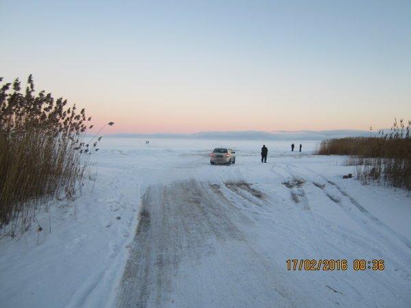 IMG_8116.thumb.JPG.53932f591e3f6161070d9