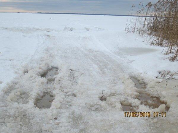 IMG_8123.thumb.JPG.a6bfdf3bb2f2361331906