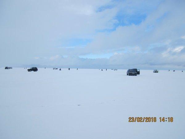 IMG_8135.thumb.JPG.53813b5aef34abc3ffb20