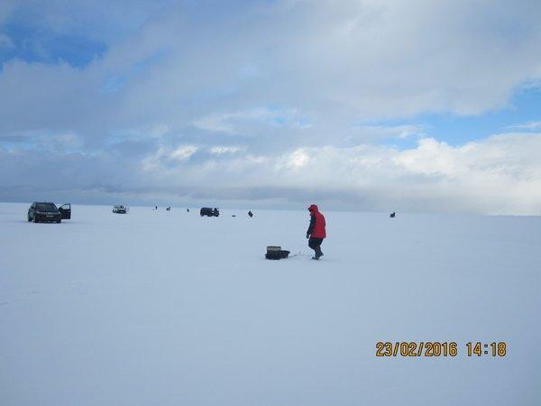 IMG_8136.thumb.JPG.3b06b0294b9fc6dc70e24