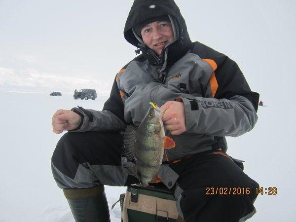 IMG_8137.thumb.JPG.f00505cca0c87cf8481ff