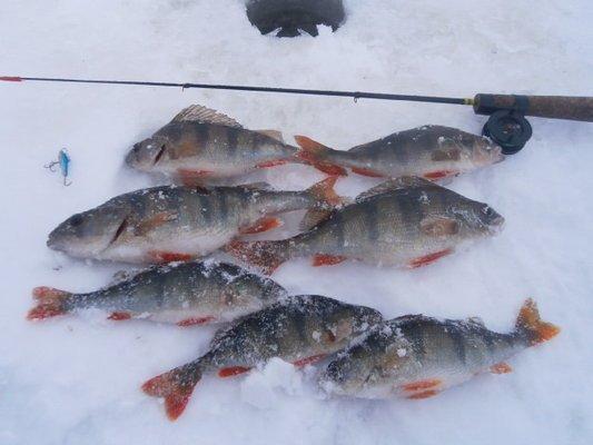 P1260531.thumb.JPG.07090a5888a0f6ba97ebd