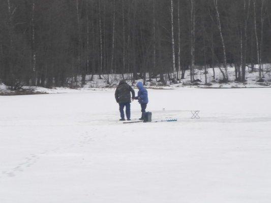 P2010541.thumb.JPG.9c39736924c39d743de4e