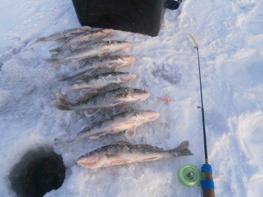 P2070550.thumb.JPG.dcd596a76c59b088ed265