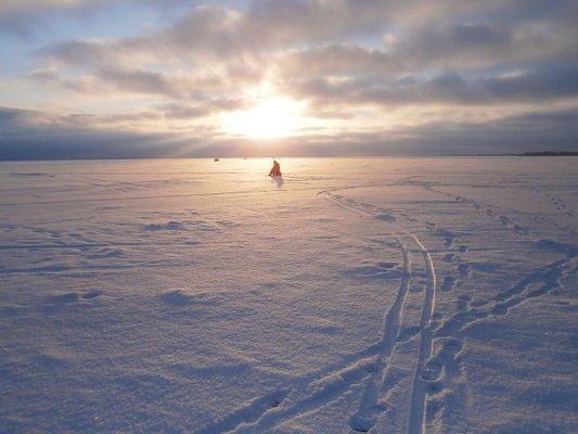 P2150567.thumb.JPG.695eedfb7e2ff61b1d15a