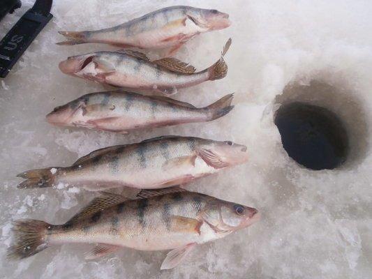 P2150571.thumb.JPG.b9ac85ab58bb7f23f8f1b