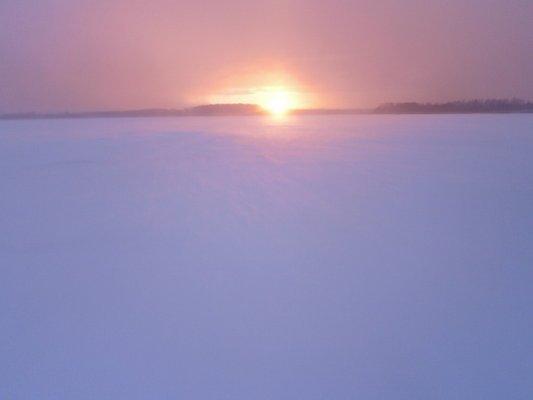 P2150573.thumb.JPG.04b4f75cd579543cb49b1