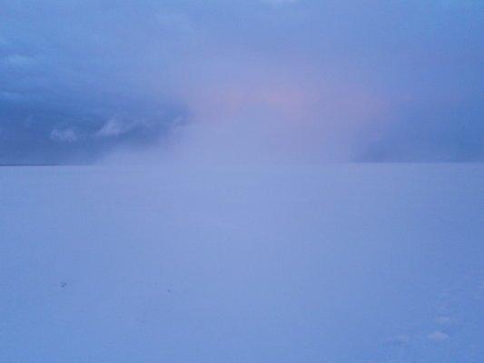 P2150575.thumb.JPG.fbbdb63f0105df02a14ce