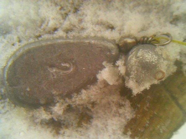 PTDC0244.thumb.JPG.715f5047367274576c51e