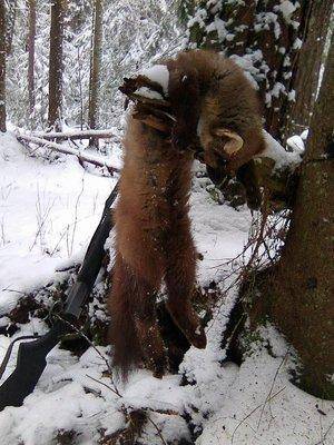 Photo0011.thumb.jpg.13537734aab5bf69c914