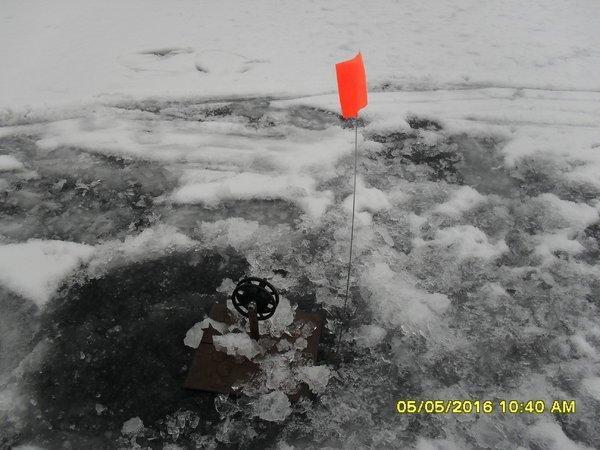 SDC12507.thumb.JPG.53c5d2d2bf95ee2147152