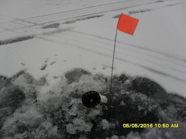 SDC12509.thumb.JPG.1b4ceebf3c919f07ce66a