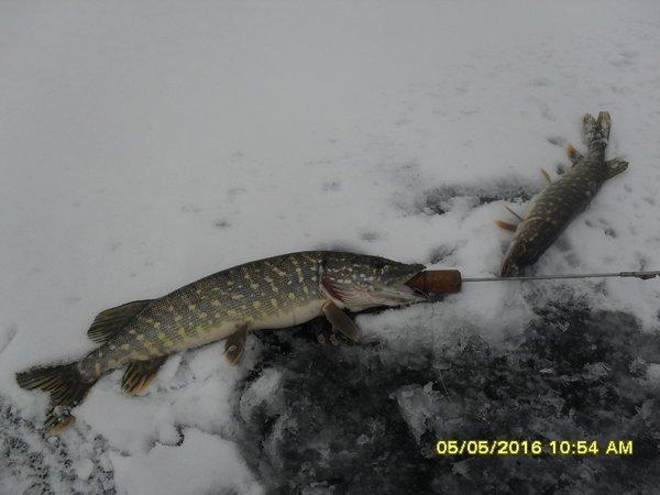 SDC12510.thumb.JPG.5f8262413d4402f03b3d3