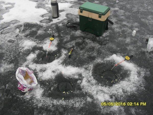 SDC12514.thumb.JPG.e5bb9e603ecac2adb07c4