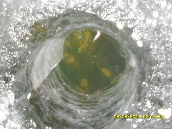 SDC12515.thumb.JPG.4324c2a961b1d799d9b71