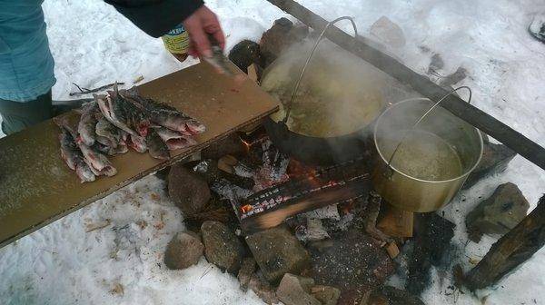 WP_20160206_013.thumb.jpg.d2e0579f87f239