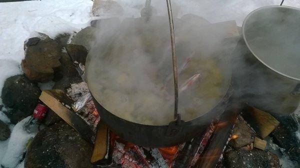 WP_20160206_014.thumb.jpg.08dd74f76e6bd1