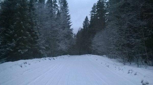 WP_20160213_001.thumb.jpg.0982081f2069fe