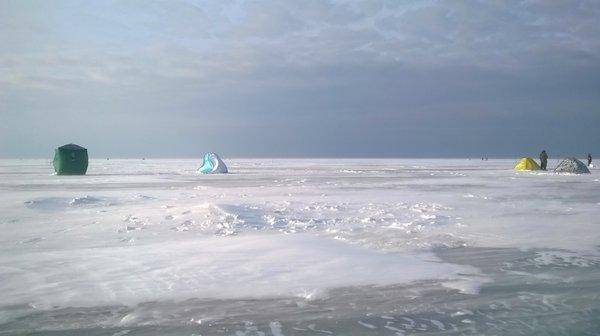 WP_20160221_002.thumb.jpg.68be97bcfb3708