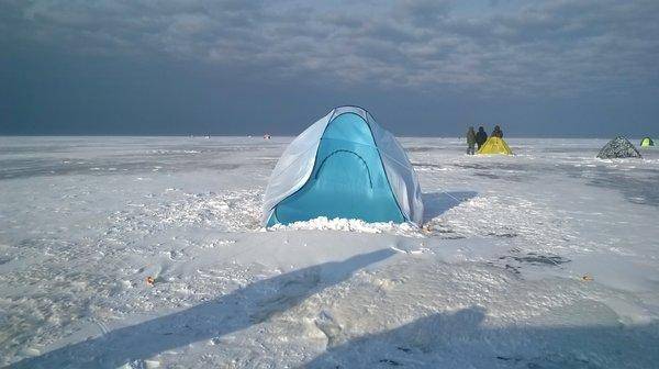 WP_20160221_005.thumb.jpg.b94da7da7c81ab