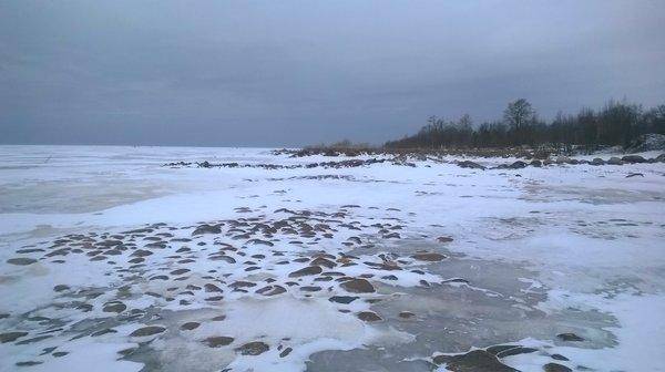 WP_20160221_018.thumb.jpg.5f78bb32e90a14