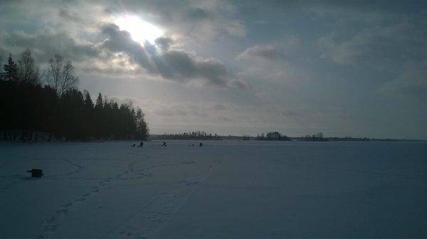 WP_20160227_001.thumb.jpg.322ff89b8ce069