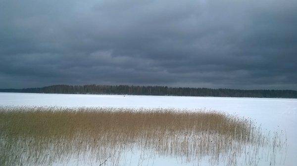 WP_20160227_004.thumb.jpg.e16133438c1643