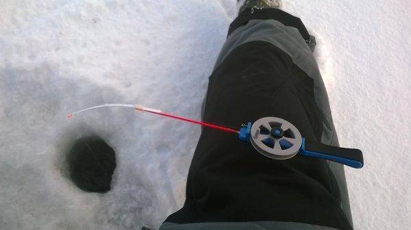 WP_20160227_007.thumb.jpg.e170923f917887